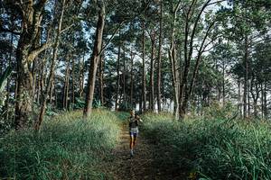 BIB: 
                            <button type="button" onclick="openModal(25656989)" class="btn btn-primary btn-sm float-right btn-popup" data-toggle="modal" data-target=".modal-high-quality">
                        <i class="fas fa-shopping-cart"></i> Add to Cart
                    </button>
                                            <button type="button" onclick="isThisMe(25656989, true)" class="btn btn-success btn-sm float-right btn-popup btn-isme hidden" data-toggle="tooltip" data-placement="bottom" title="นี่คือรูปของคุณใช่ไหม คลิกที่นี่เพื่อเอาเข้าอัลบั้ม">
                        <i class="fas fa-plus"></i> Add to album
                    </button>
                    <button type="button" onclick="isThisMe(25656989, false)" class="btn btn-warning btn-sm float-right btn-popup btn-isnotme hidden">
                        <i class="fas fa-ban"></i> Remove from album
                    </button>